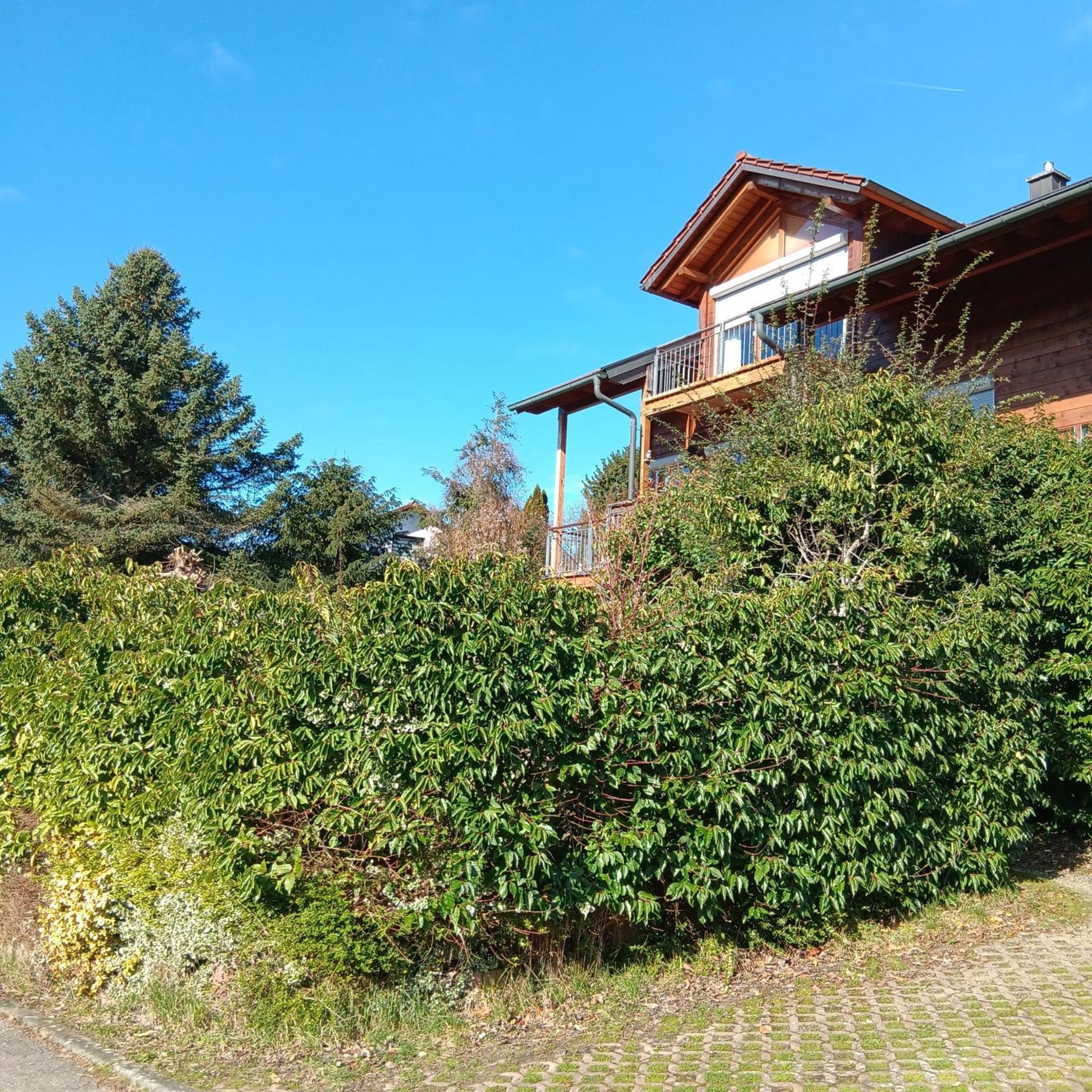 Gartenapartment Auf Der Hoeri In Wangen Ohningen Extérieur photo